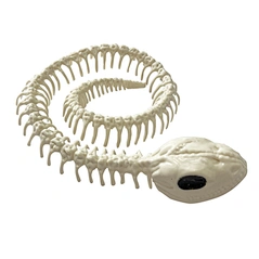 skeleton halloween decoration
